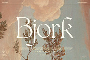 Bjork Serif, a Serif Font by CCS-Type.com (Thumbnail 1 of 30)