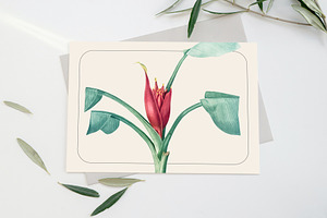 VINTAGE FLOWERS Watercolor Png Set