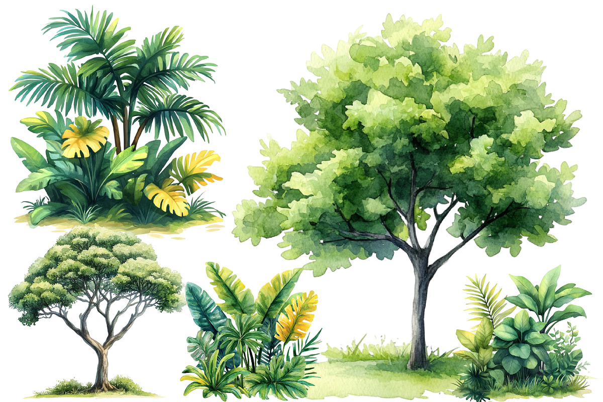 Safari Watercolor Clipart, an Illustration by Designworld (Photo 5 of 6)