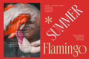 Gradneght Modern Display Serif, a Serif Font by timelesstype.co (Thumbnail 9 of 20)