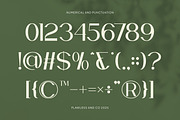 Rooven - Elegant Serif Font, a Serif Font by Flawless And Co (Thumbnail 7 of 10)