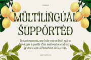 CS Marcia – Aesthetic Font, a Sans Serif Font by Craft Supply Co. (Thumbnail 7 of 8)