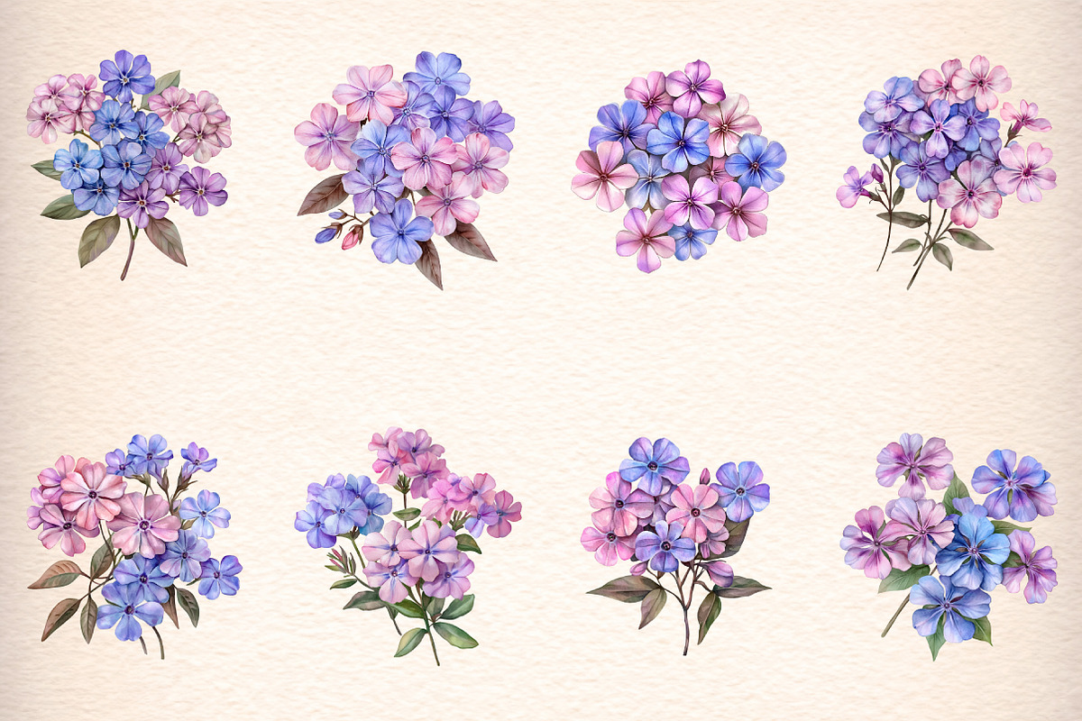 watercolor phlox cluster flowers, an Illustration by GatewayDesign (Photo 4 of 9)
