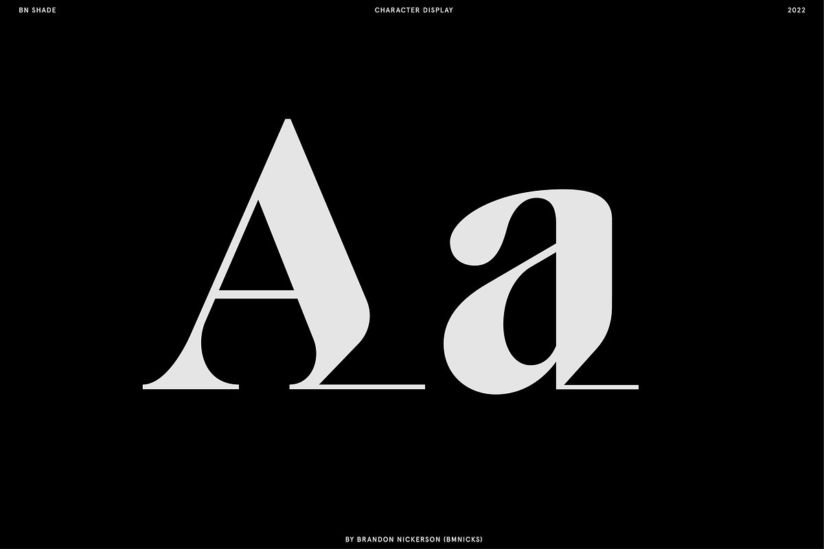 BN Killwit, a Serif Font by Bnick (Photo 5 of 13)