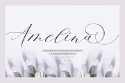 Amelina Script New Update Font Duo, a Script Font by Areatype (Thumbnail 1 of 9)