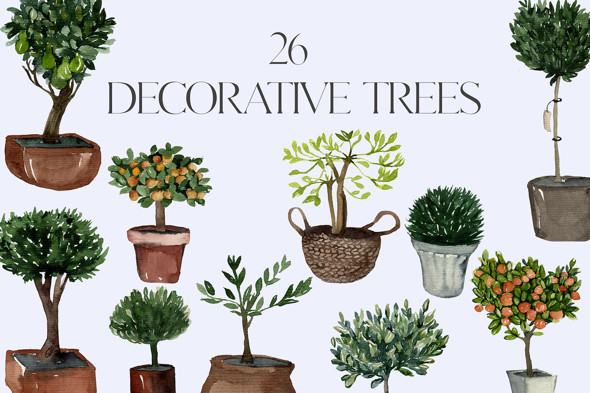 SALE! Watercolor DECORATIVE TREES, a Decorative Illustration by Julia Bogdan (Photo 1 of 4)