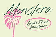 Blynkas Scripte Handwritten Font, a Script Font by Letterena Studios Script (Thumbnail 4 of 15)