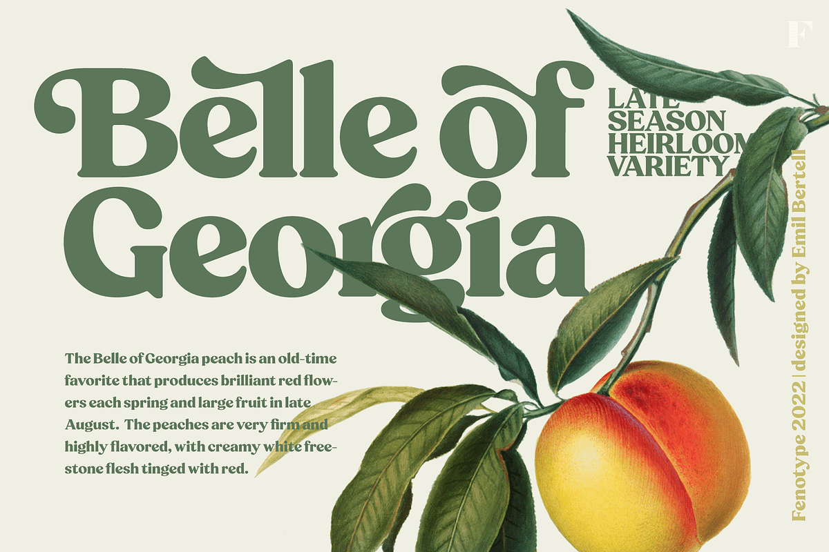 Peach Crush Serif Typeface, a Serif Font by Fenotype (Photo 6 of 16)