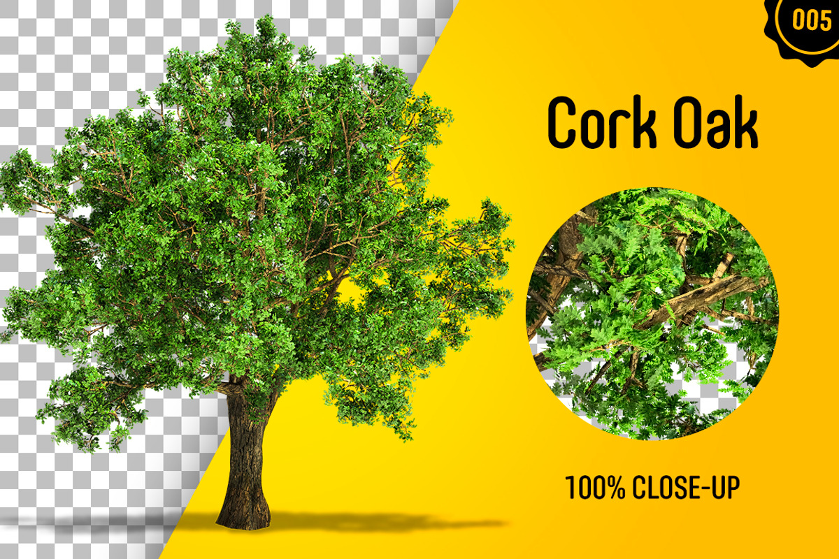 CUT OUT TREES - 60 PCS BUNDLE, a Packaging Mockup by 3DSTORE (Photo 6 of 63)