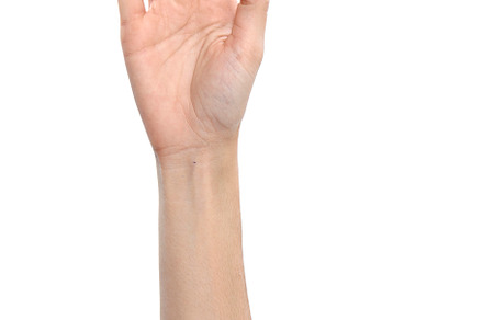 close-up on hand woman, a Background Photo by 1981 Rustic studio kan