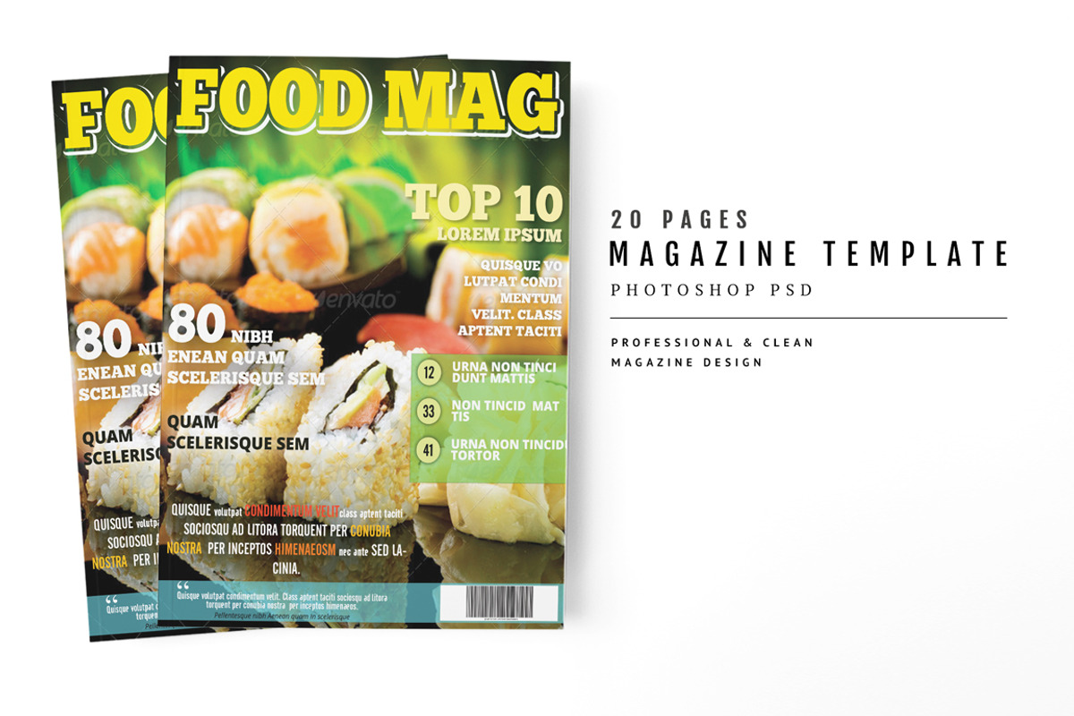 Magazine Template 22, a Magazine Template by pmvch (Photo 1 of 10)