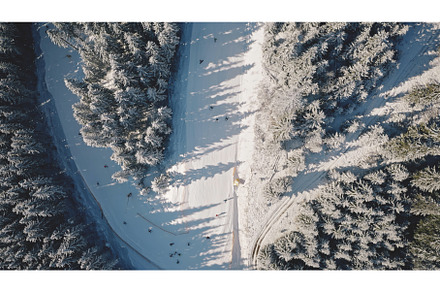 Aerial top down of snow mountain fir, a Nature Photo by Goinyk