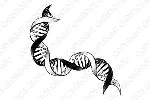 DNA Double Helix Gene Genetic, an Illustration by Christos Georghiou