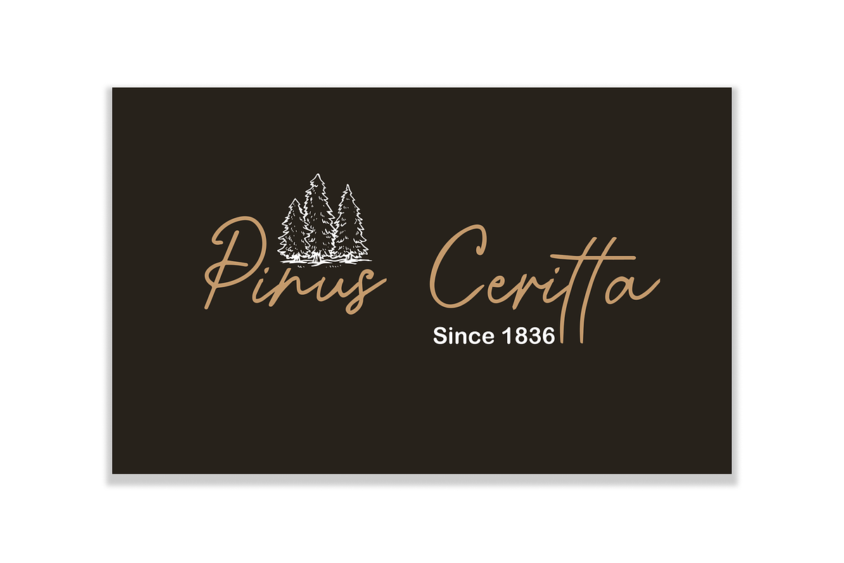 Mandalletta Script Font, a Script Font by Gookkis Studio (Photo 2 of 7)