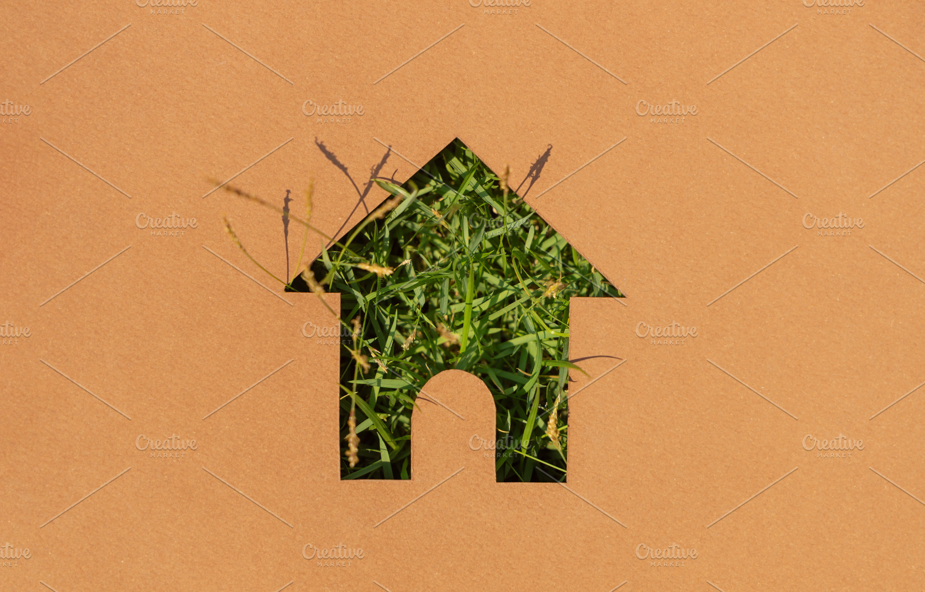 House symbol with grass texture cut on paper,sustainable housing, a Photo by salmon.black