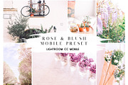 Rose & Blush Blogger Mobile Preset, an Action Add-On by Lux Light (Thumbnail 2 of 13)
