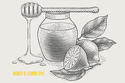 Herbs Bundle engravings, a Food Illustration by Irina Trusova (Thumbnail 9 of 9)