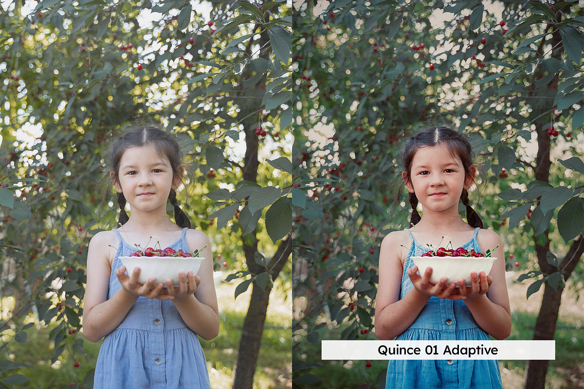 20 Cider Lightroom Presets and LUTs, a Preset Add-On by SparkleStock (Photo 2 of 13)