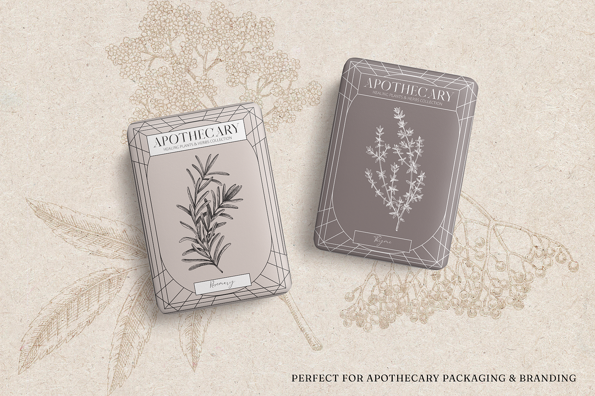 Apothecary Plants & Herbs Vector Set, a Healthcare Illustration by Yevheniia (Photo 6 of 11)
