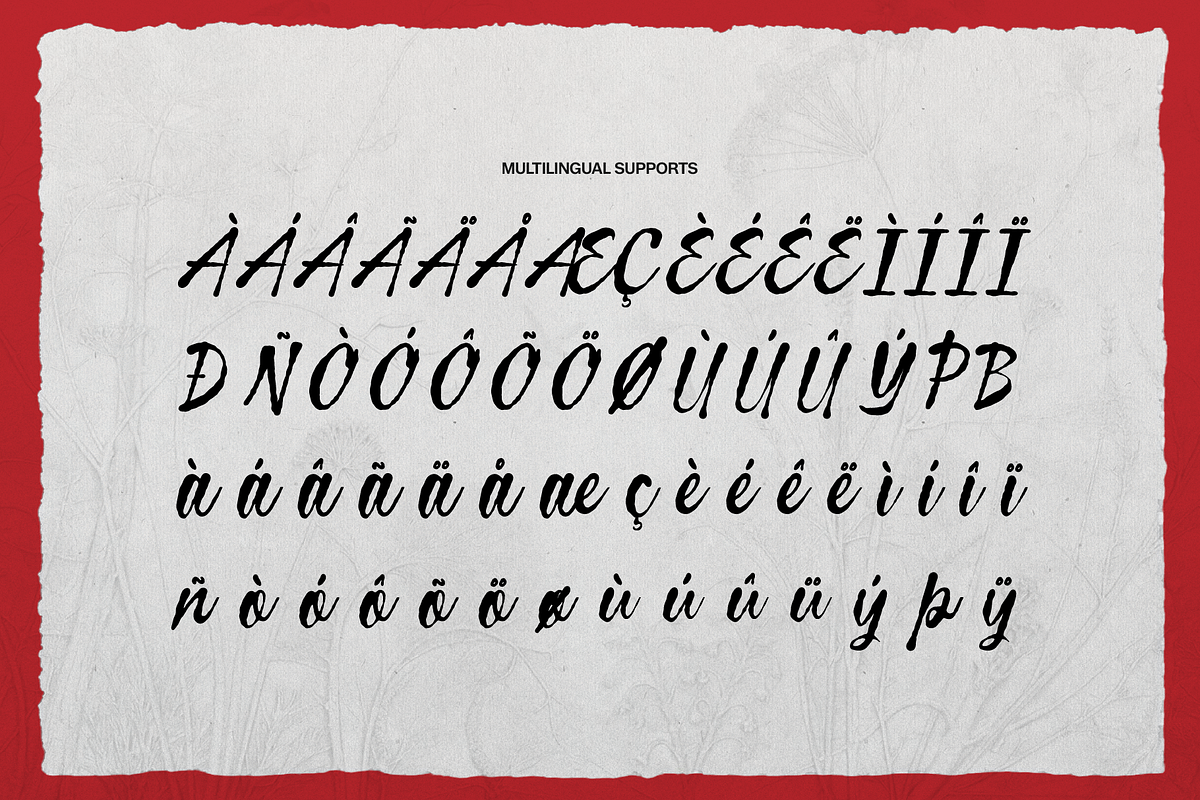 Curiousity Reuis Handwritten Script, a Script Font by gracetype_studio (Photo 10 of 11)