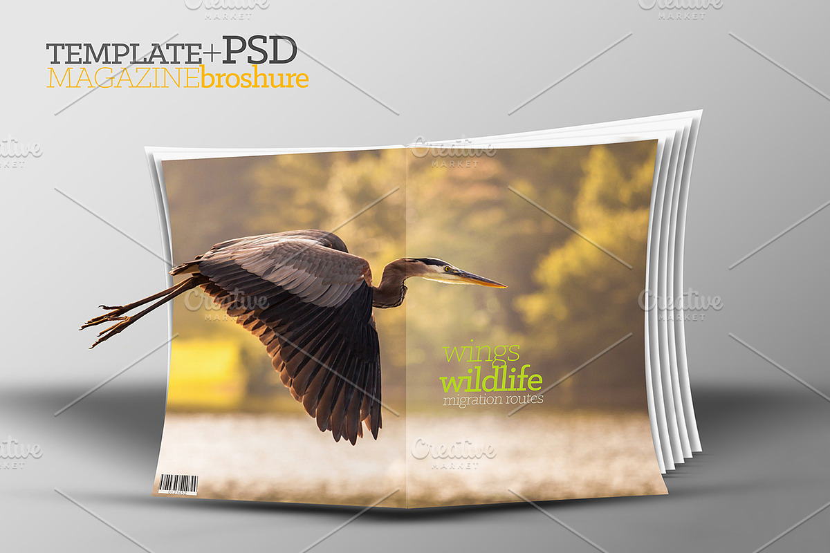 3D Template catalog+PSD, a Magazine Template by 2MK (Photo 3 of 5)