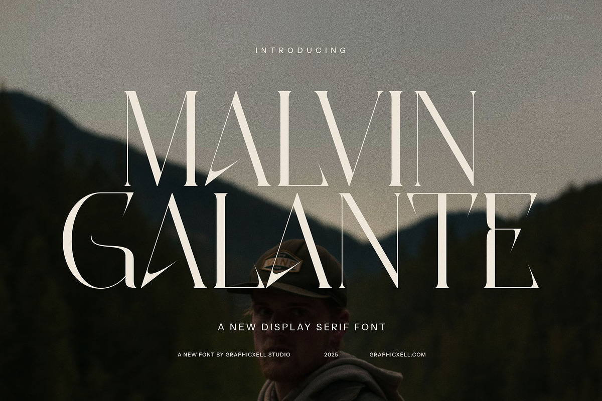 Malvin Galante Elegant Serif Font, a Serif Font by Graphicxell (Photo 1 of 8)
