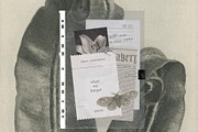 Elegant Paper Elements & Textures, an Object Graphic by Eva Gentle (Thumbnail 6 of 10)