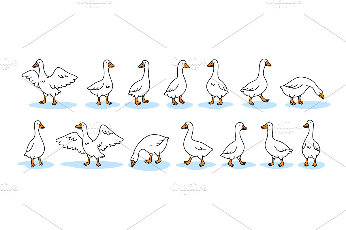 Vector set of geese. Clean outline, an Animal Illustration by GraphiShop