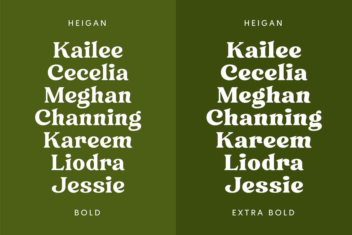 Heigan - Retro Font Family, a Serif Font by Grezline Studio (Photo 9 of 13)