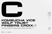 Unison Pro, a Sans Serif Font by TypeJuice™ (Thumbnail 4 of 9)