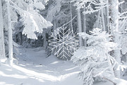 48 unique snowflake icons, an Icon by popcic (Thumbnail 1 of 5)