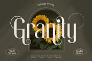 Granity, a Sans Serif Font by Nathatype (Thumbnail 1 of 10)