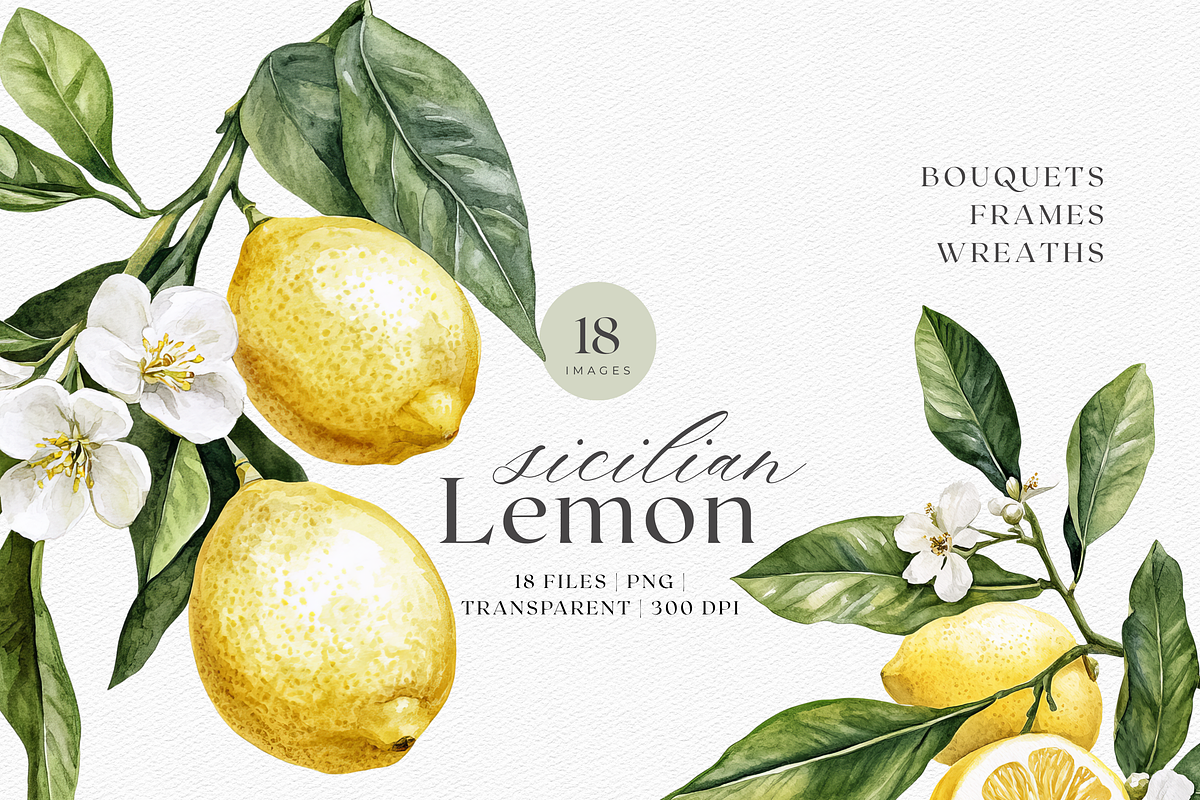 Sicilian Lemon - Watercolor clipart, a Decorative Illustration by ThaismotaCreativeCo (Photo 1 of 9)
