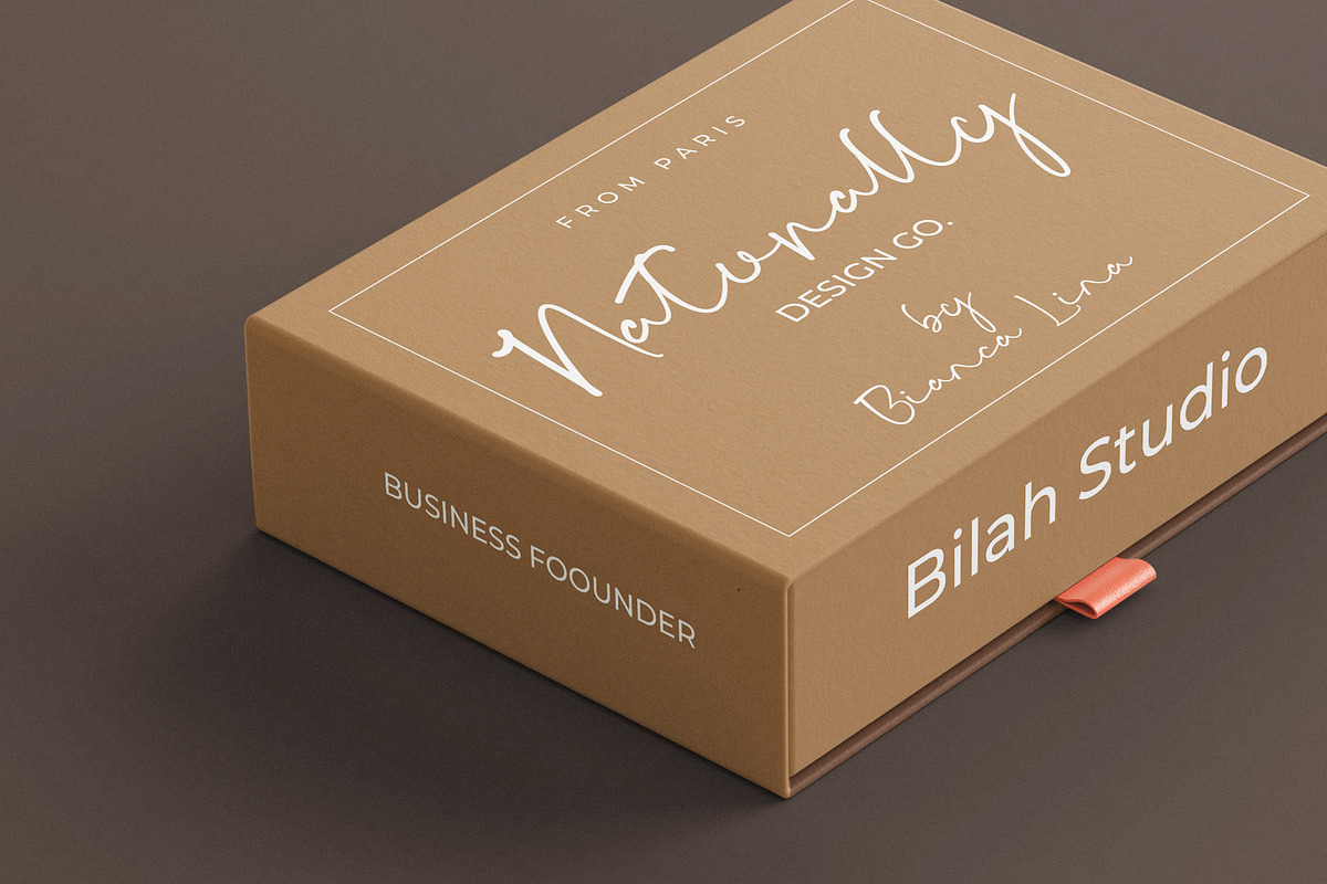 Bargoli Elegant Script Font, a Script Font by Bilahstudio (Photo 4 of 11)