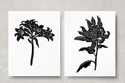 Vintage Botanica II, an Object Graphic by Mii Lab (Thumbnail 13 of 21)