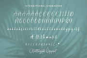 Newscript, a Script Font by Integritype Studio (Thumbnail 9 of 14)