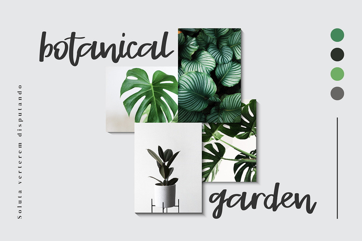Stayrlight Modern Script Font preview 2