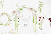 Watercolor Flower- AMARANTHUS, a Decorative Illustration by Beigetime (Thumbnail 14 of 15)