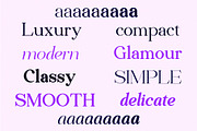 Liferdas Serif Family, a Serif Font by Sealoung (Thumbnail 4 of 10)