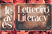 Traditional Aesthetic - Modern Serif, a Serif Font by 177Studio (Thumbnail 4 of 8)