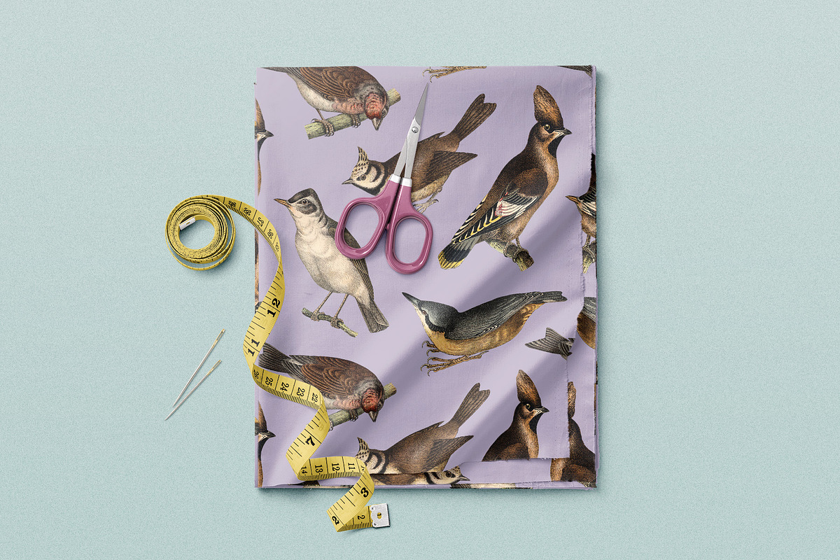 122 Vintage Illustrations of Birds, an Animal Illustration by Graphic Goods (Photo 10 of 14)