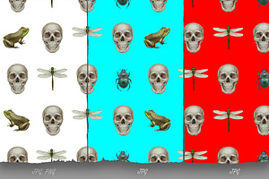 Skull Collection / Pattern Design