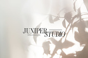 Mega Logo Bundle For Illustrator AI, a Branding & Logo Template by Forth and Wild (Thumbnail 12 of 16)