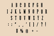 THE BEACH, a Serif Font by Fourteen Letter (Thumbnail 4 of 8)