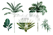 Hot Tropics, a Pattern Graphic by HannaStudio (Thumbnail 7 of 9)