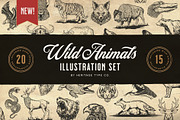Wild Animals - Illustration Set, an Animal Illustration by Heritage Type Co. (Thumbnail 1 of 5)