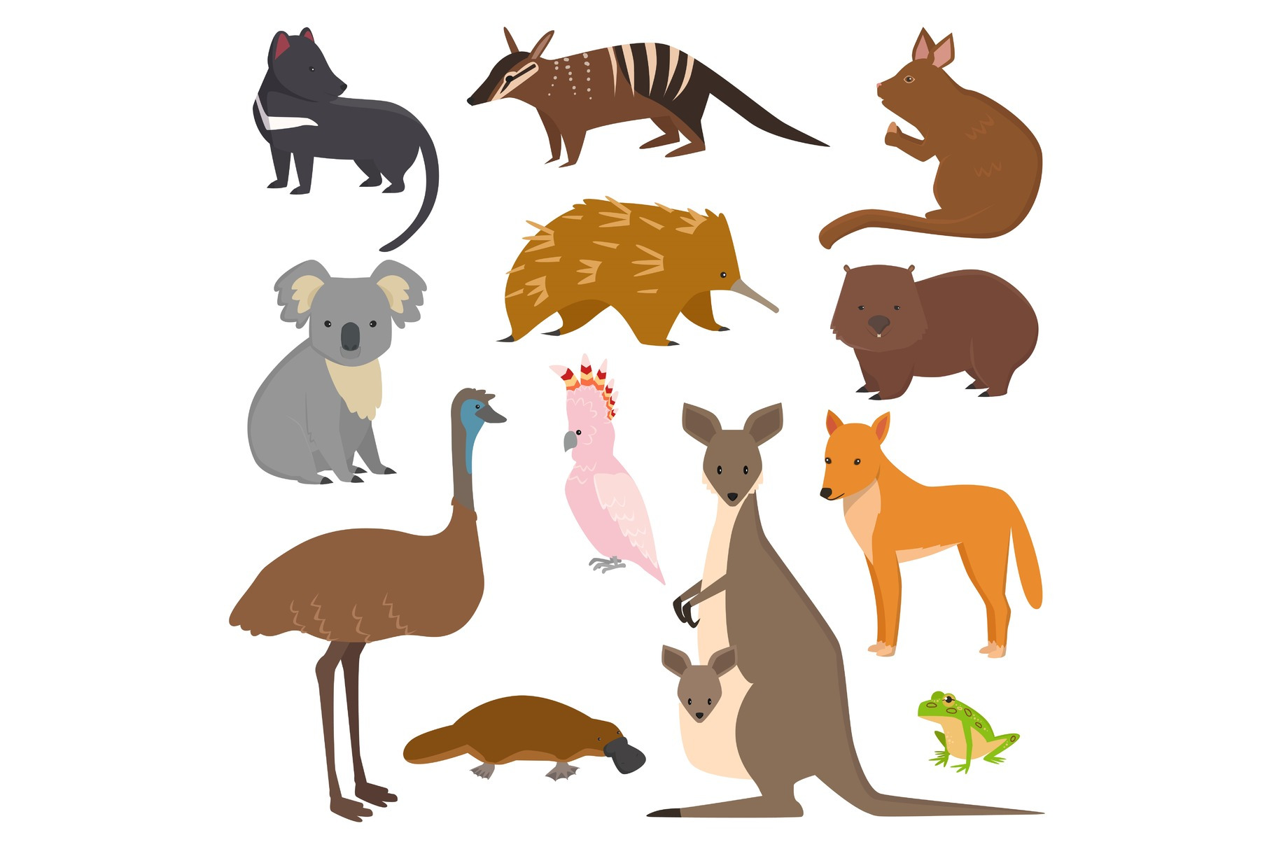 Australian wild vector animals cartoon collection australia popular ...