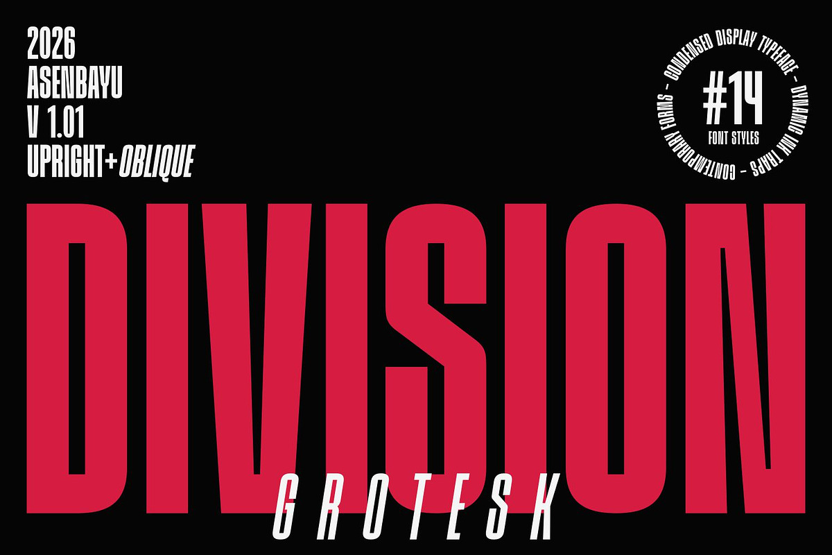 Division Grotesk Font Family, a Sans Serif Font by Asenbayu (Photo 1 of 15)