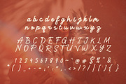 Retrogram - Vintage Monoline Script, a Script Font by HipFonts (Thumbnail 3 of 10)