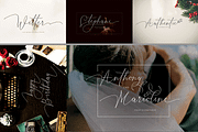 THE COLLECTION BUNDLE, a Script Font by danti (Thumbnail 3 of 31)